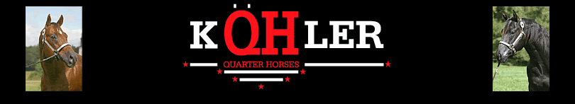 Koehler Quarterhorses